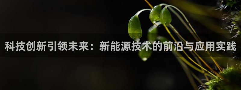 申博官网手机版下载app