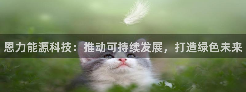 申博官网电脑版下载