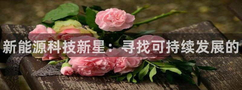 申博手机版app下载