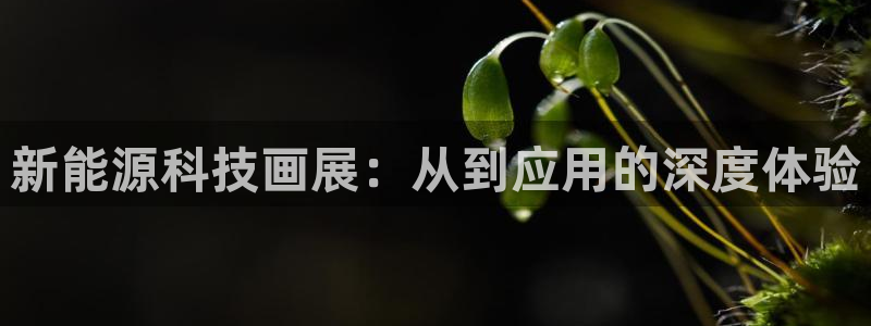 sunbet苹果app