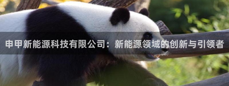 sunbet手机网页版下载