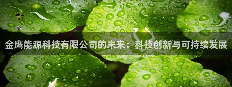 sunbet申搏平台
