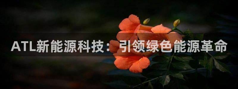sunbet苹果app
