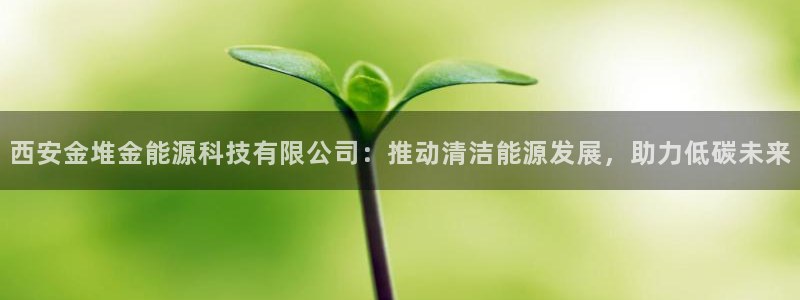 申博手机网站