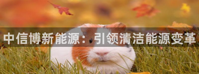 sunbet手机端