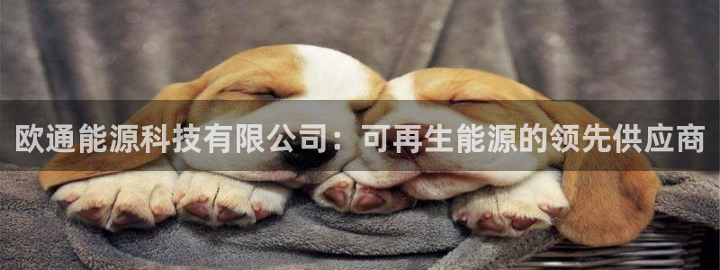 sunbet手机网页版本