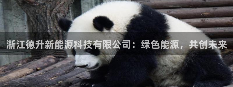 sunbet手机版官网下载