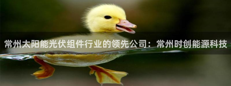 sunbet申搏官网