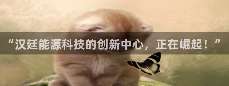 进入sunbet官网手机版登陆