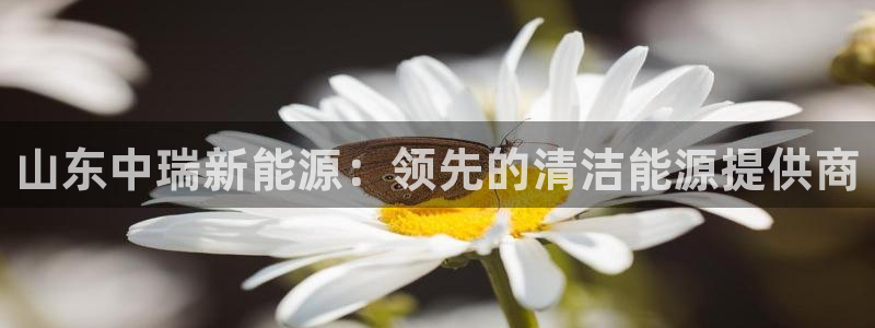 sunbet官网开户登录手机版