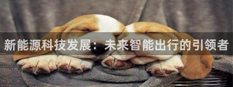 申慱sunbet手机版登