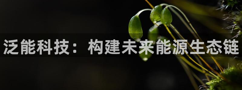 sunbet官网手机版登录