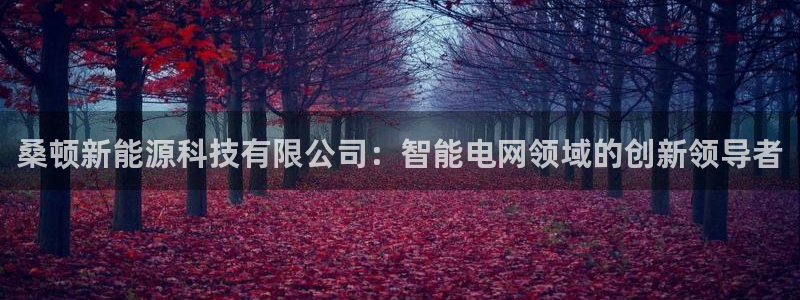 sunbet手机网页版