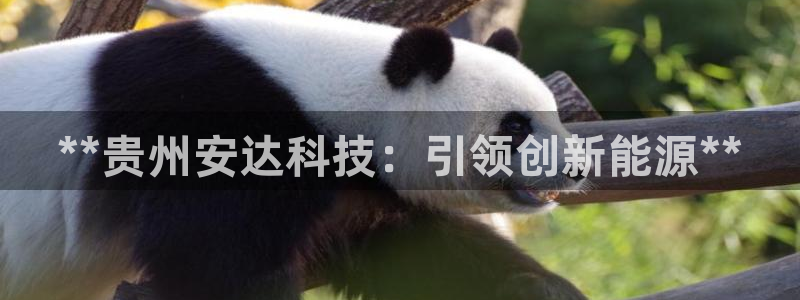 sunbet申搏app下载